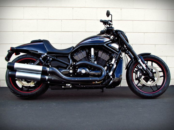 harley davidson night rod for sale
