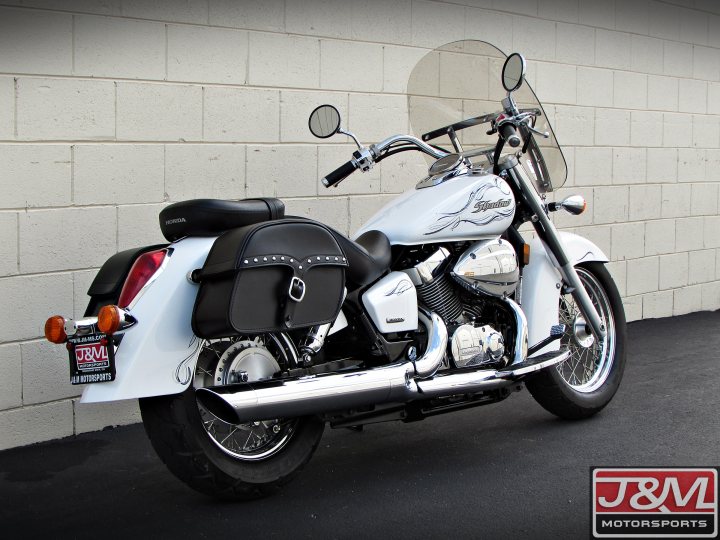 ale master bib shorts